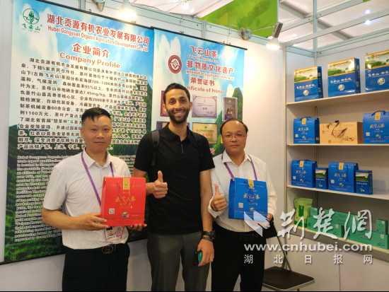 Zhushan无形的文化遗产Feiyun Mountain绿茶在湖北茶大