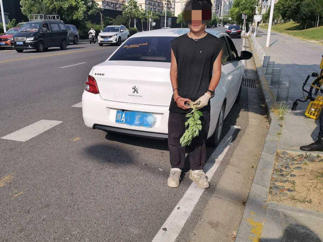 使用分支“隐藏卡”？两名司机故意阻止了他们