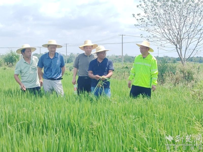 Xishui县紧急管理局赶到Wanggang镇寻求紧急援助，并
