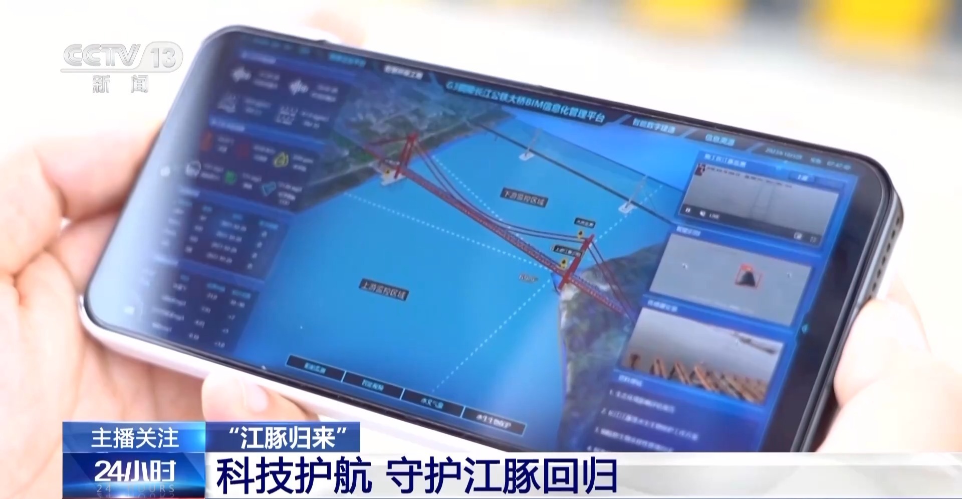 从难觅踪影到频频现身“微笑天使”江豚见证母亲河生态复苏(图5)