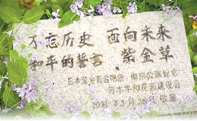 为什么来自日本的南京的种子开花？
