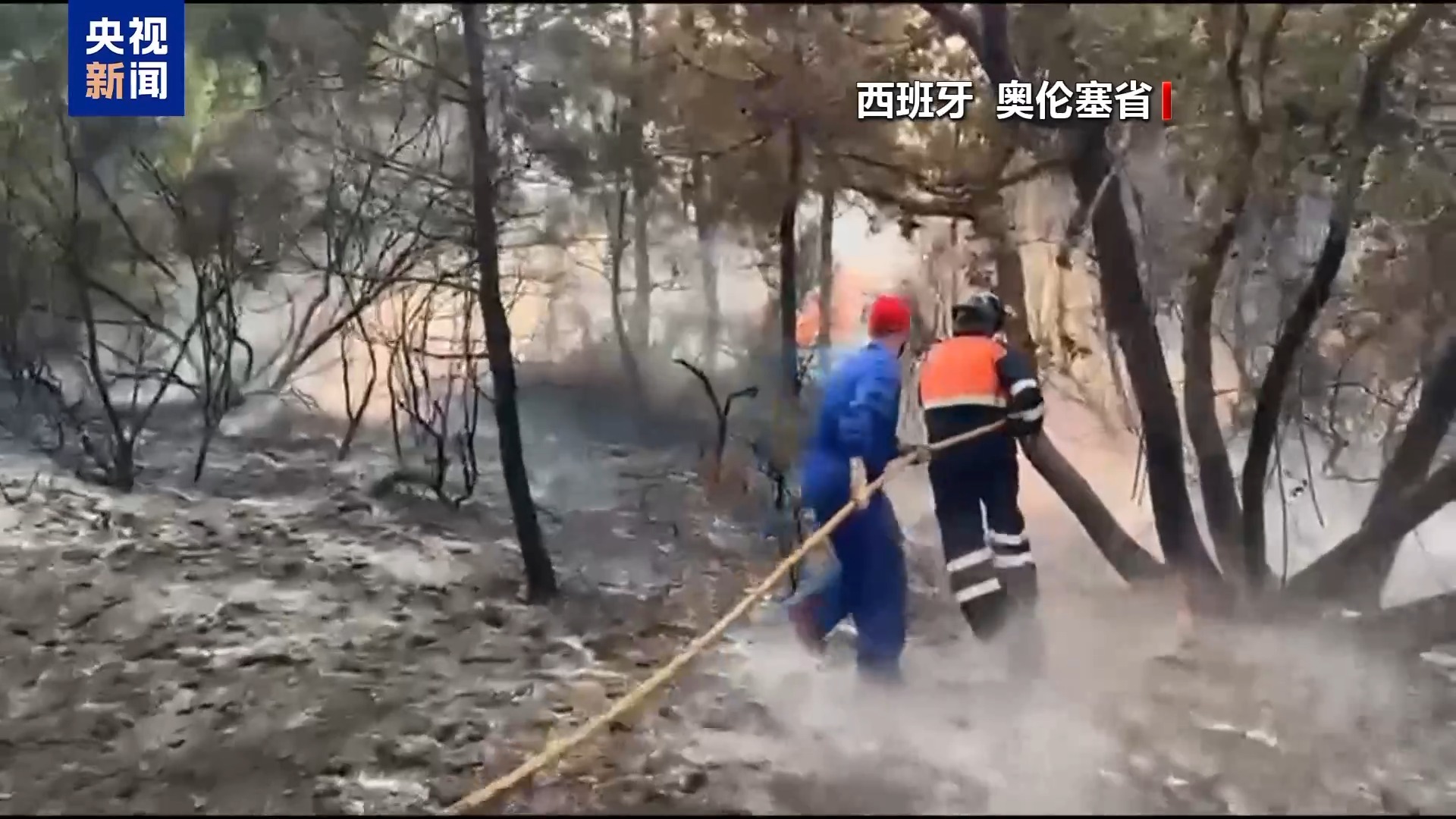 高温仍在继续，许多欧洲国家的森林大火仍然活