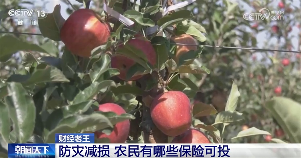 农业保险作为经济“减震器”具有很大的影响，