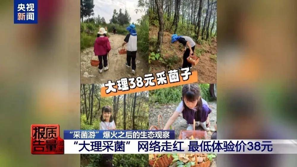 donghu快速演讲| “达利比细菌的收集”正在蓬勃发