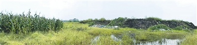 偷来挖沙子和砾石，完整的浮渣和垃圾（字母字