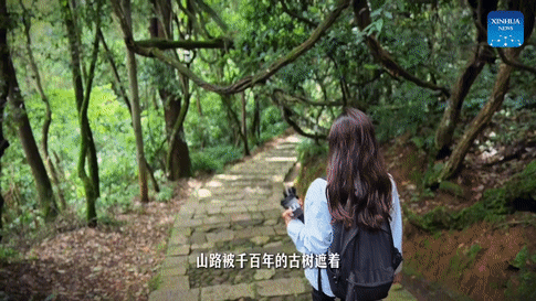 实验云南