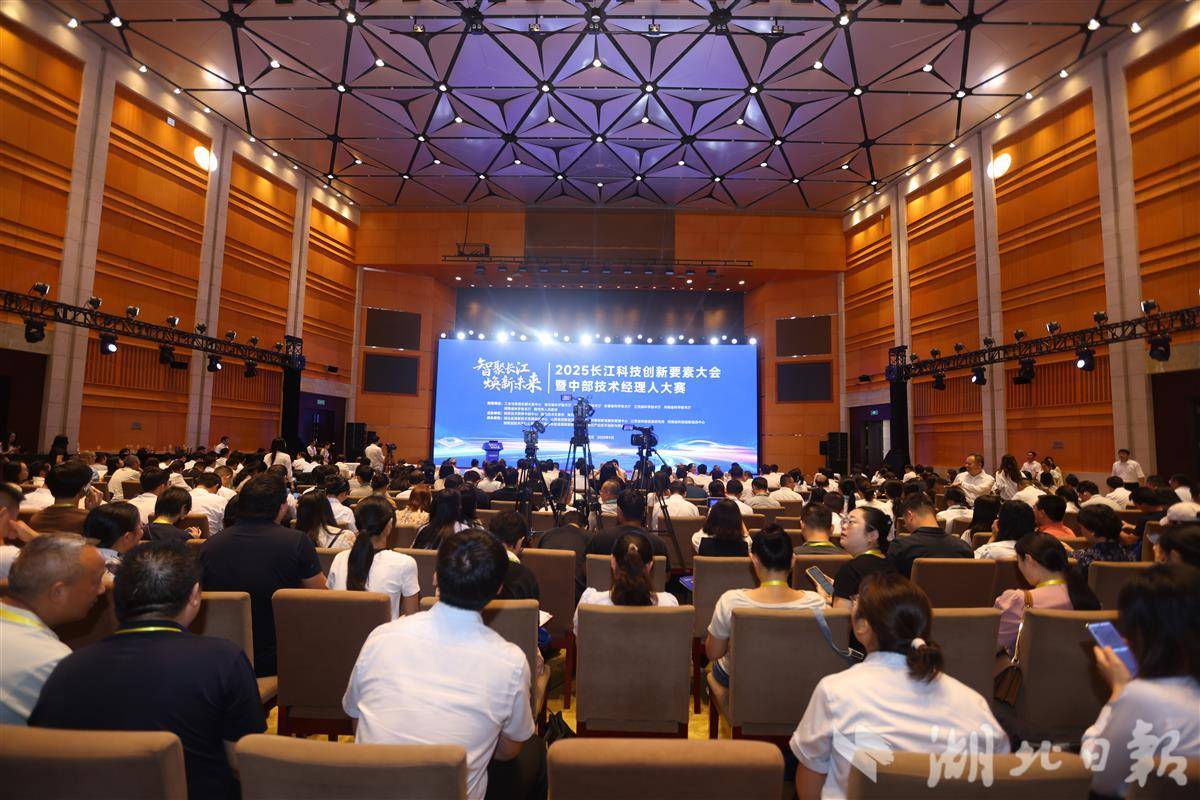2025年Youngze科学与科学的科学与技术创新元素和中