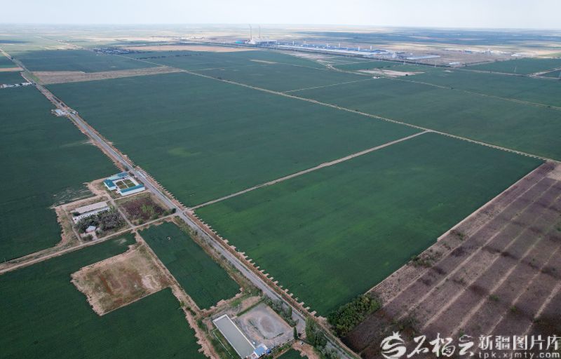 70年的出色进步，这是一次新的智能棉花场之旅