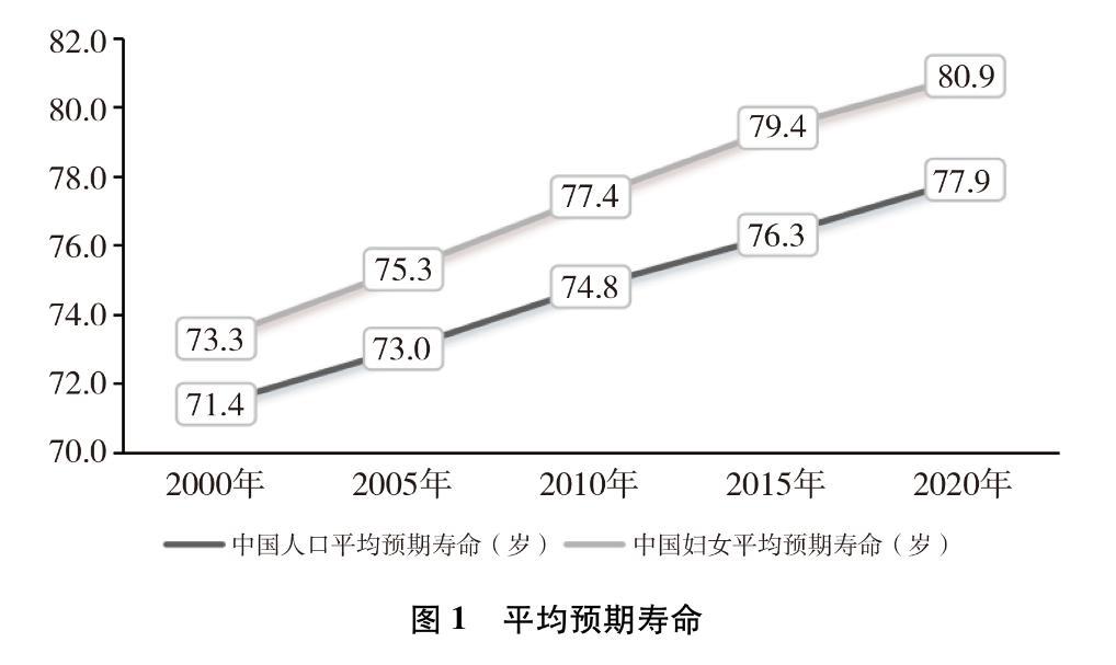 新时代中国推进妇女全面发展的实践与成就(图6)