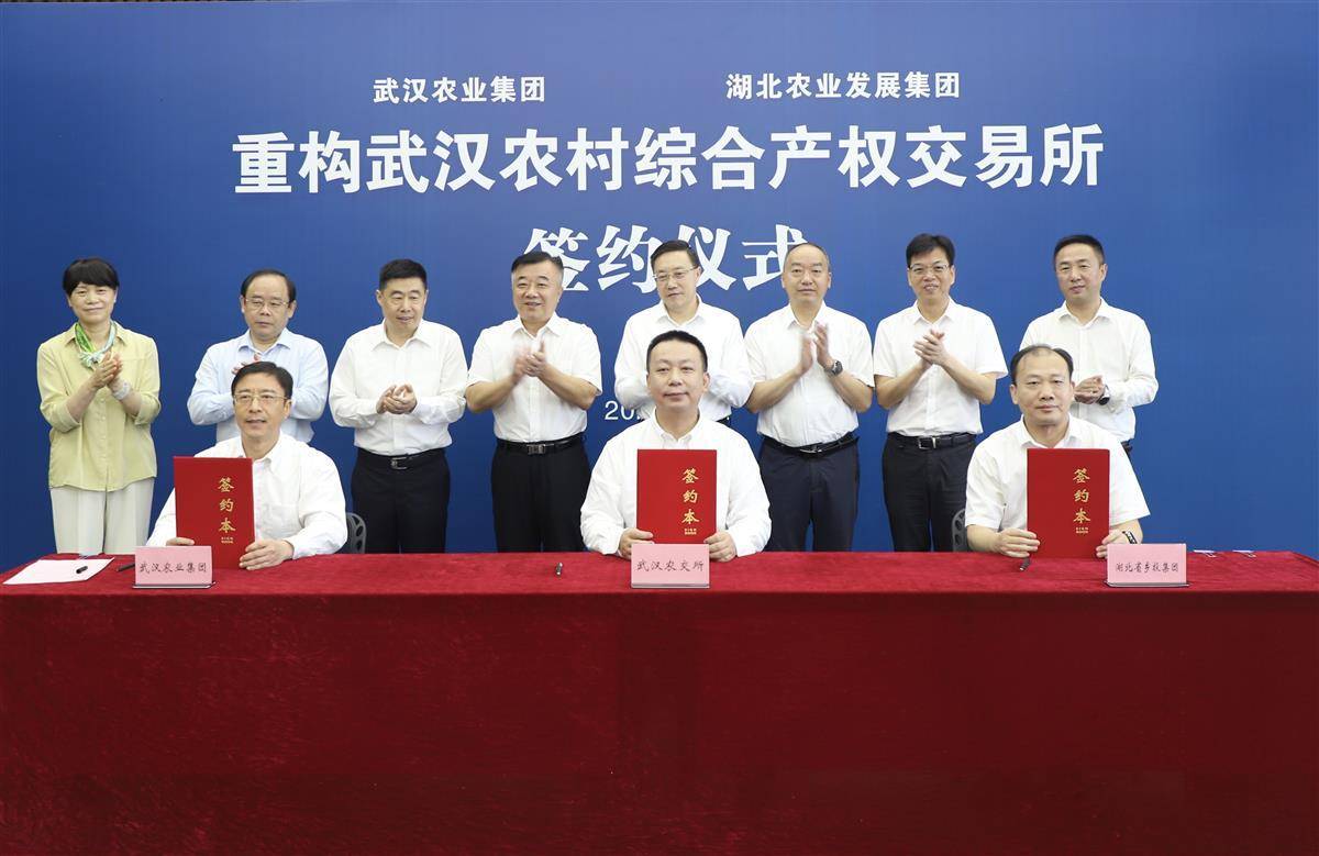 国家和城市公司的坚实联盟重建武汉农村房地产