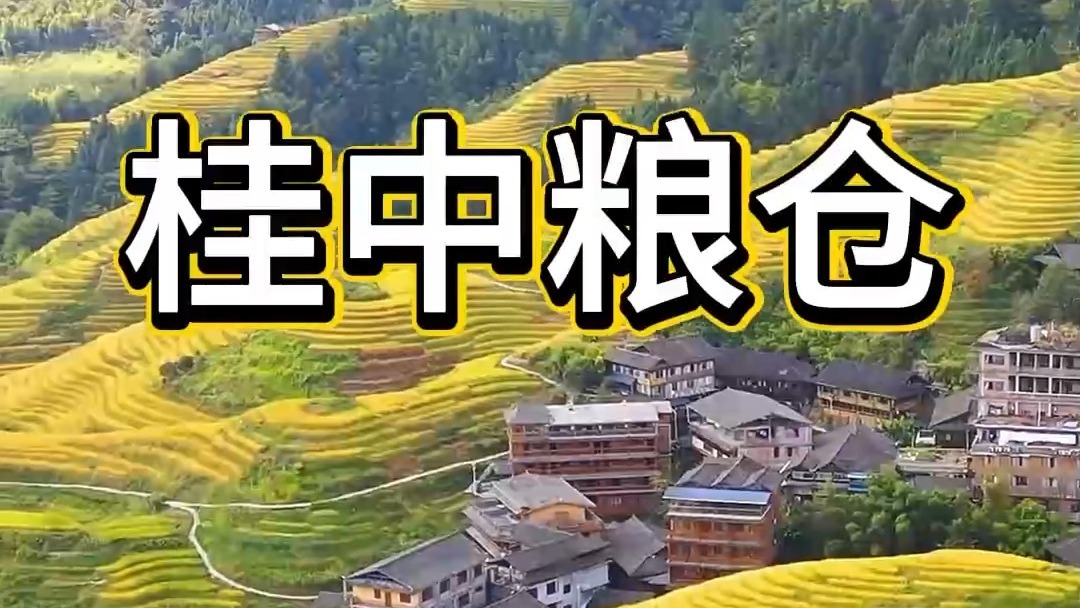 射线面，米粉，蜗牛面条