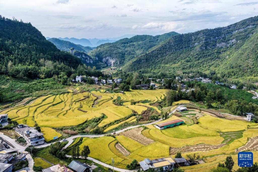 重庆齐亚吉安格：沃林山区乡镇欢迎丰收收获