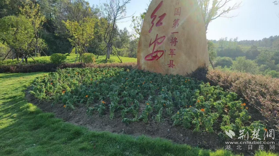 香港县花园局种植了花朵来打扮这座城市
