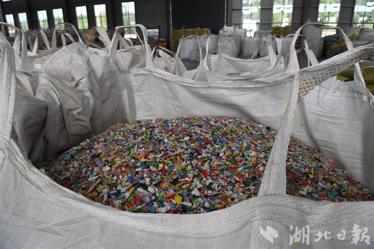 深挖“隐形宝藏” 联合国粮农组织技术合作项目在湖北启动(图3)