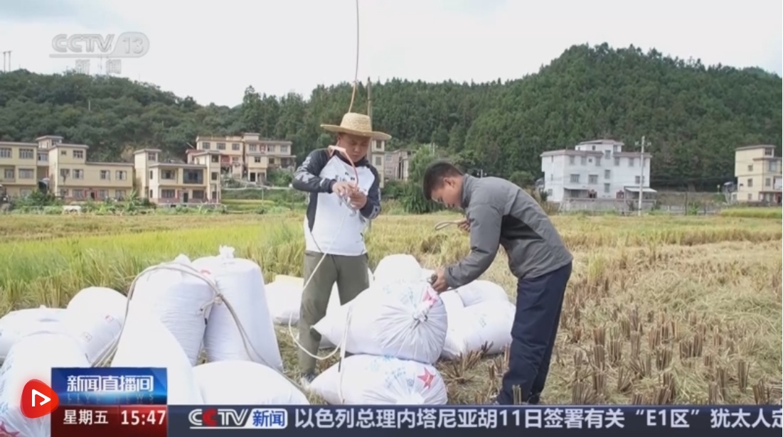 秋天的“技术+”扮演主角，向地面上的农民出售