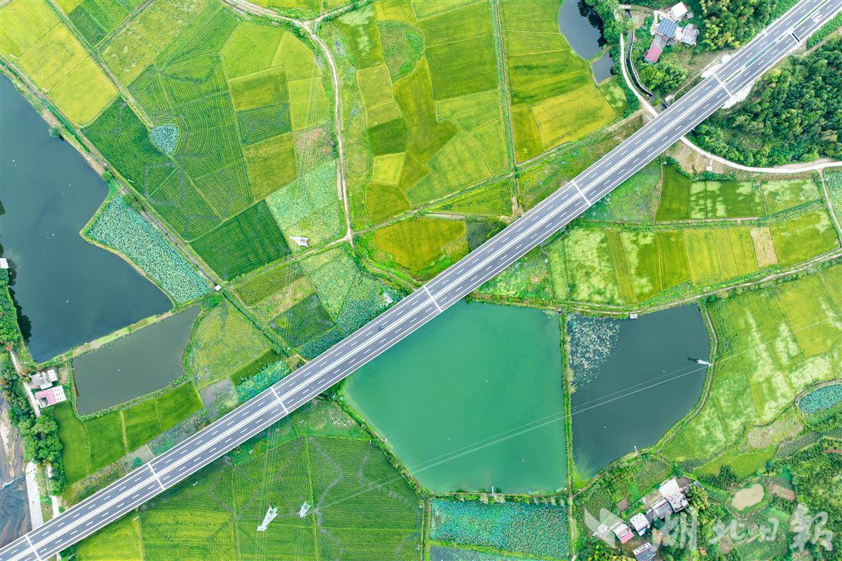 Qitaidong高速公路将为湖北和Anhui建立“一小时的经