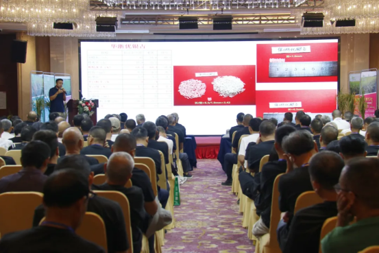 在小南,在小米举行了新的各种香米2025