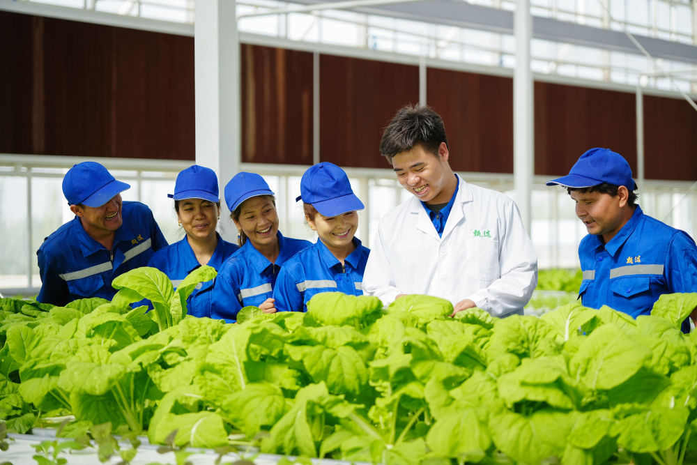 镜观·回响｜新时代大美新疆新图景(图26)