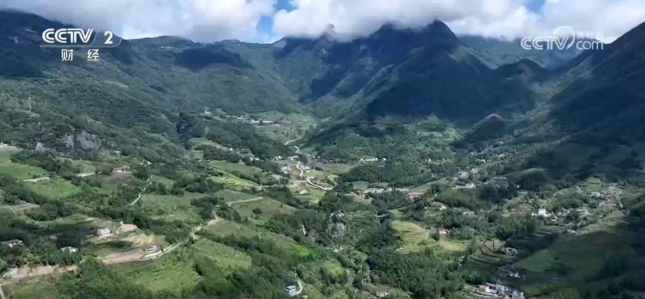 充满小木屋和黄米的鱼“终端场+”使用农