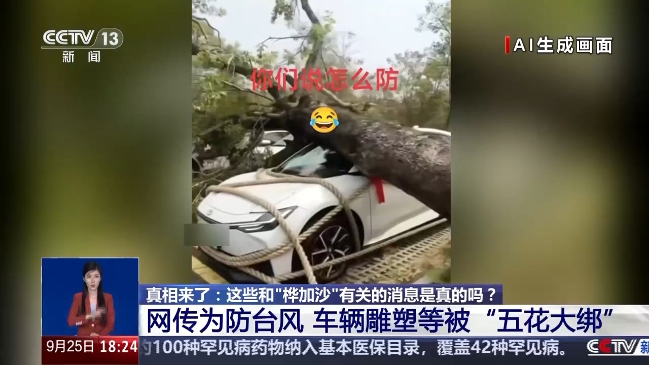 是避免台风的“强迫”车辆？所有这些照片都是
