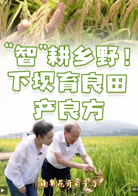 停在湾区大都市地区趋势的最前沿。