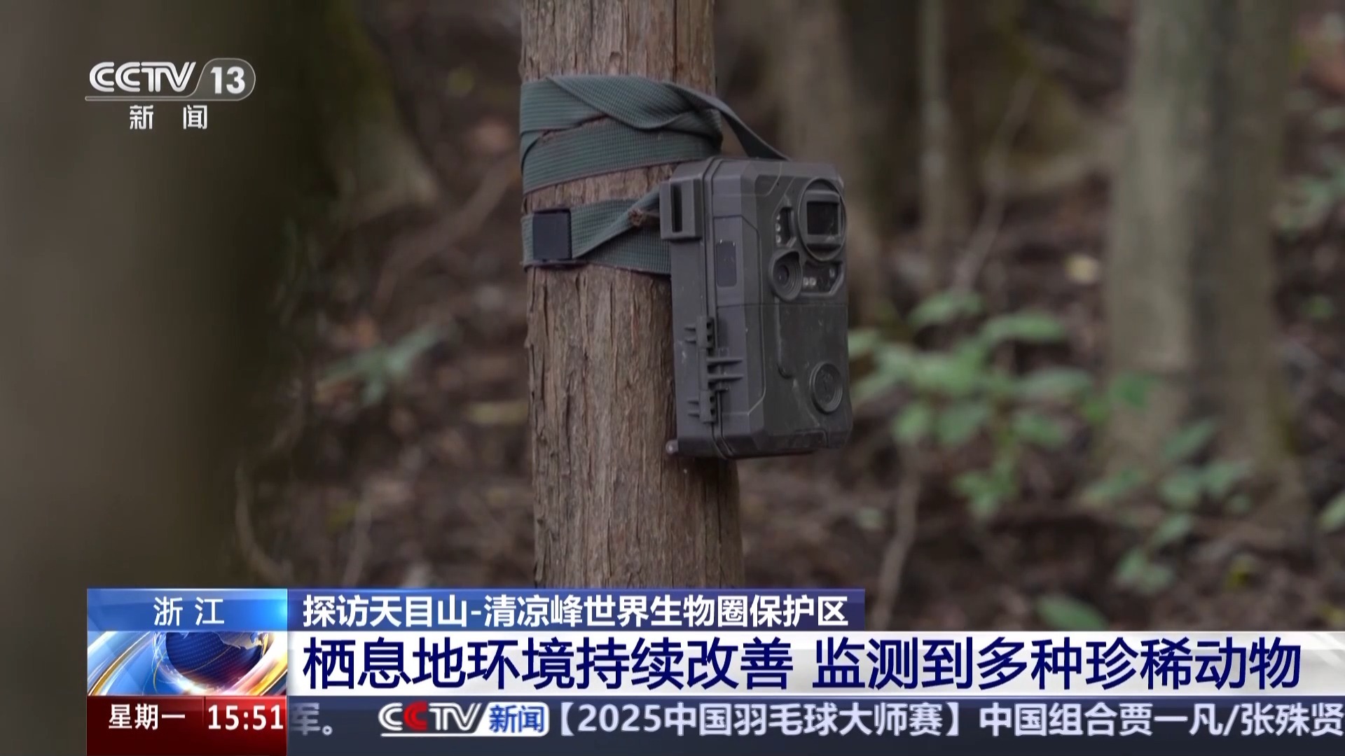 有“大树王国”也有呦呦鹿鸣 探访天目山保护区的生态密码(图9)