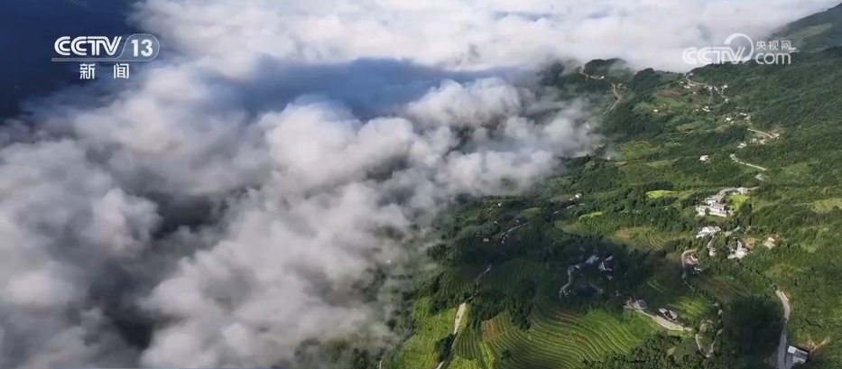 黄米饭和红辣椒。五颜六色的卷轴传播到希望农