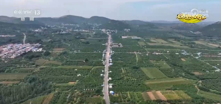 瓜和水果的香气漂浮，机舱里到处都是鱼和螃蟹