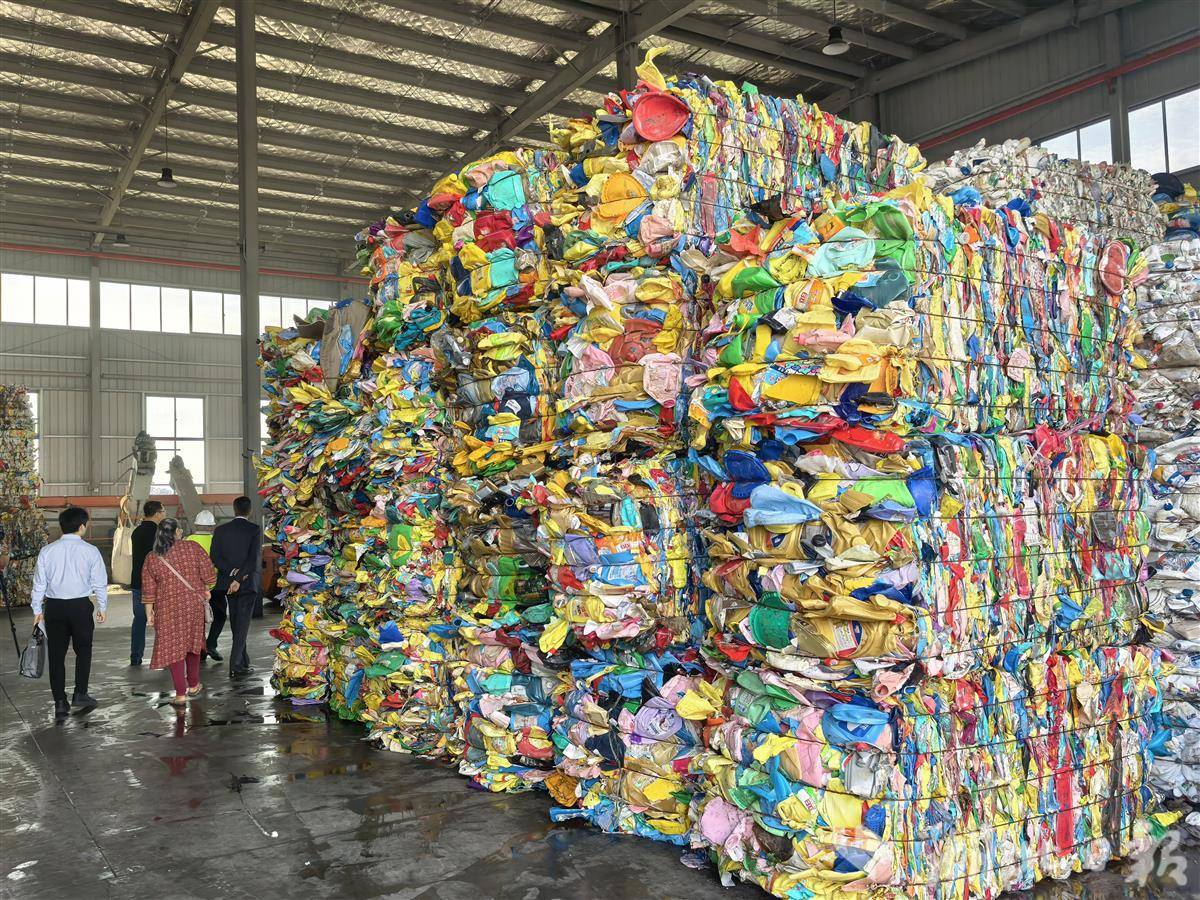 深挖“隐形宝藏” 联合国粮农组织技术合作项目在湖北启动(图2)