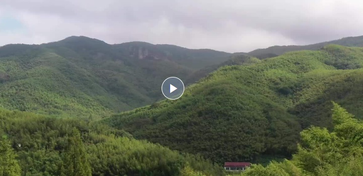 “垃圾”吸引了100,000多个游客？ 90年代后的小组