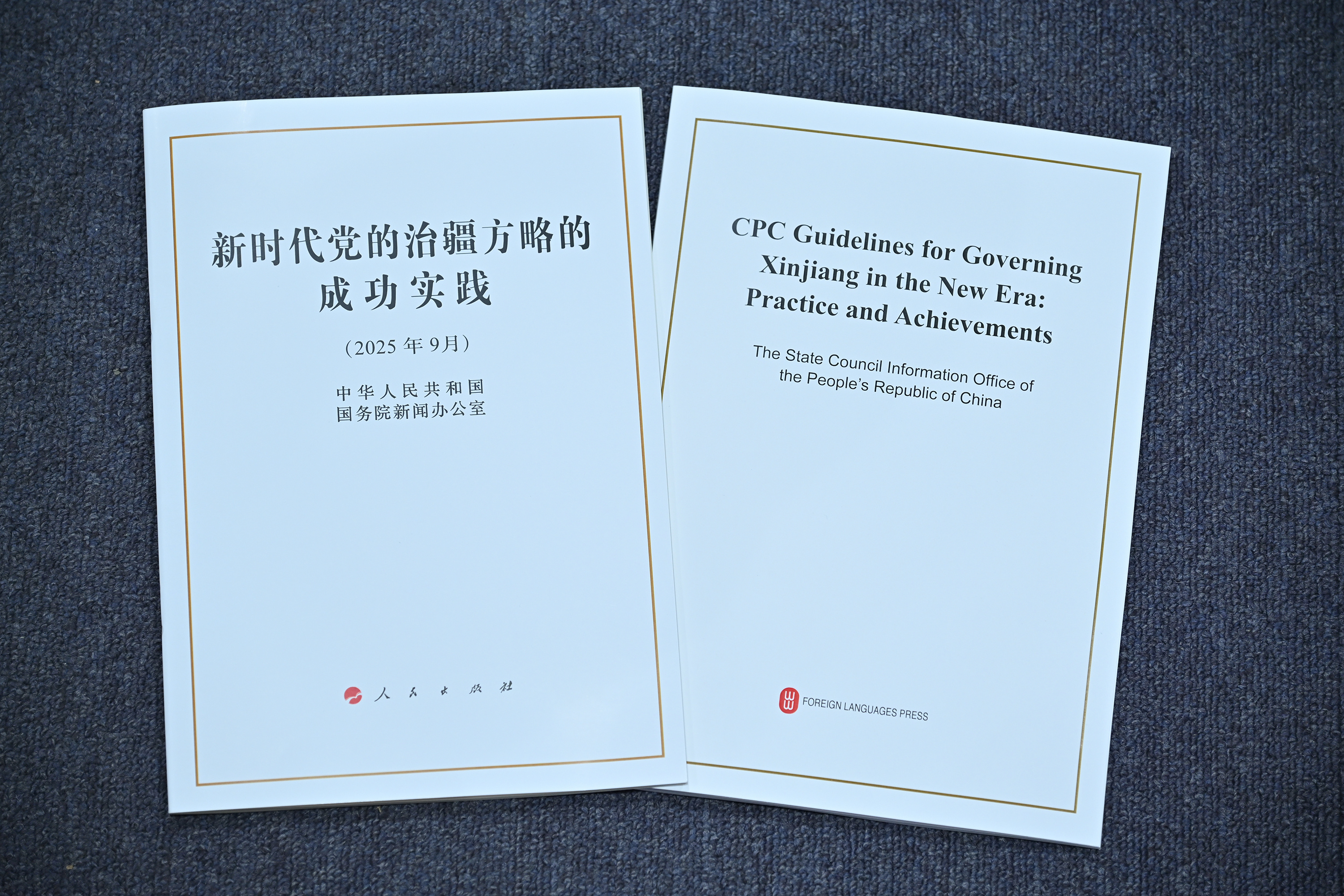 白皮书：新江民的生计
