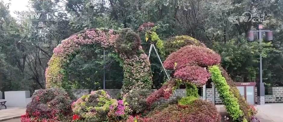 节日在这里，文化和旅游很热，供应还足够。 “