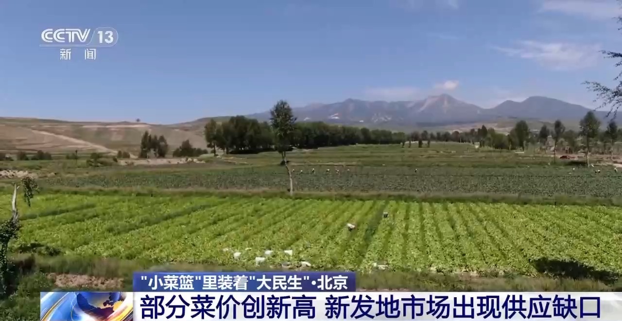 “小蔬菜篮”包含“大人物的生计”。面对不断