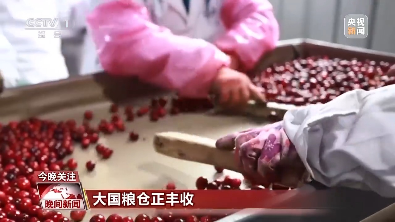 大地调色盘晒秋正当时！这幅五彩“丰”景图藏不住了(图6)