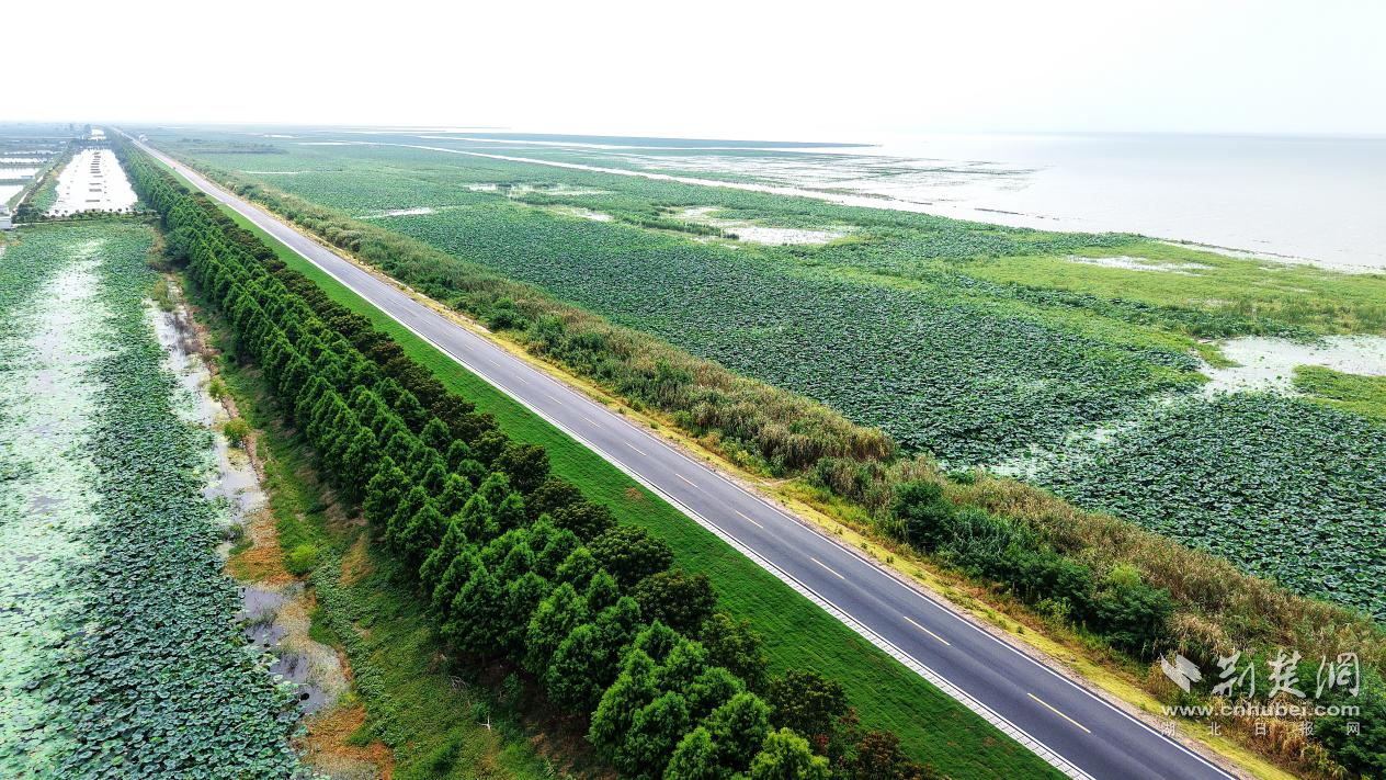 洪海湖，绿海湖跑步 -  2025年洪马马拉松和生态旅程网络将很快开始