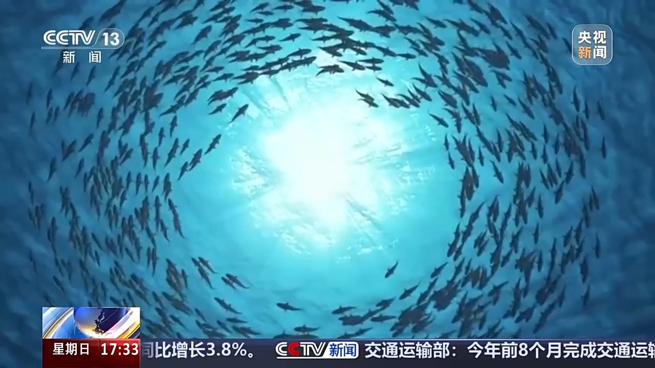 我国石油和水下天然气设备的技术能力已达到高