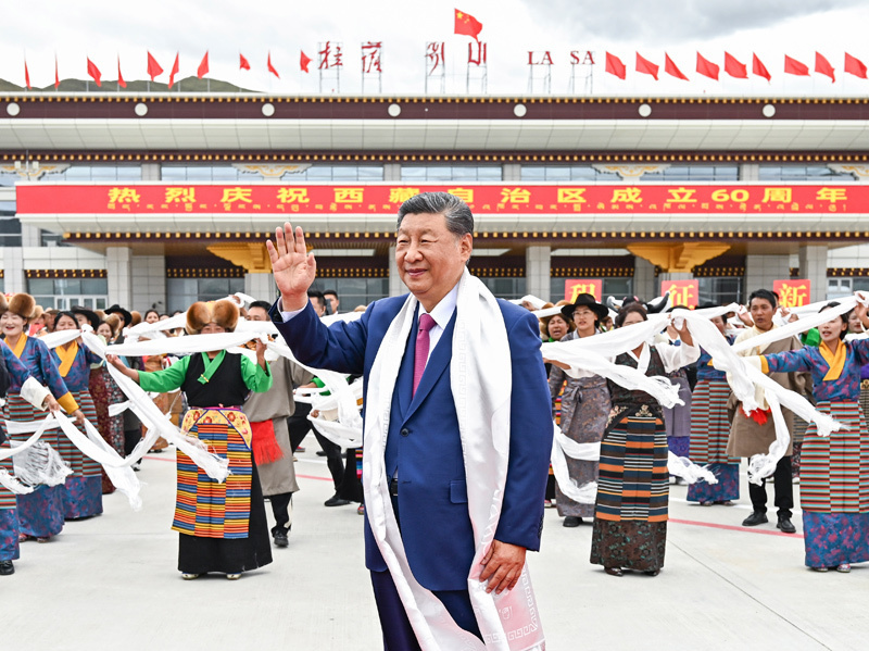 学习，知识和行动