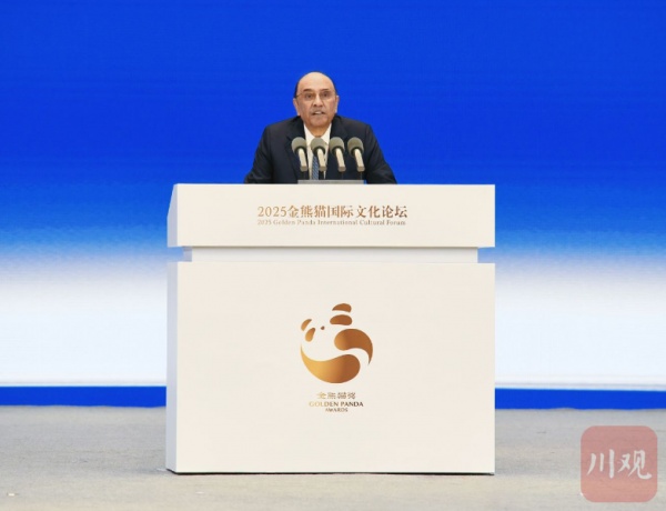 巴基斯坦Zardari总裁:艺术建造将国家,文化和社