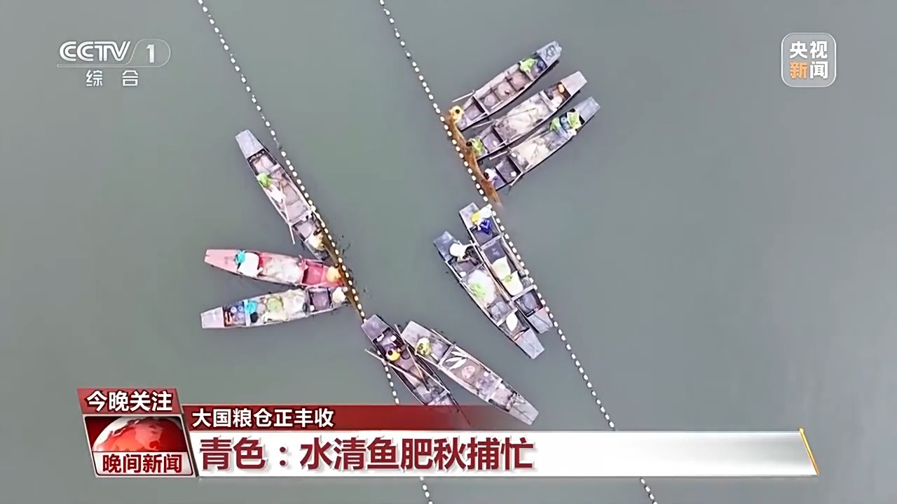 大地调色盘晒秋正当时！这幅五彩“丰”景图藏不住了(图7)