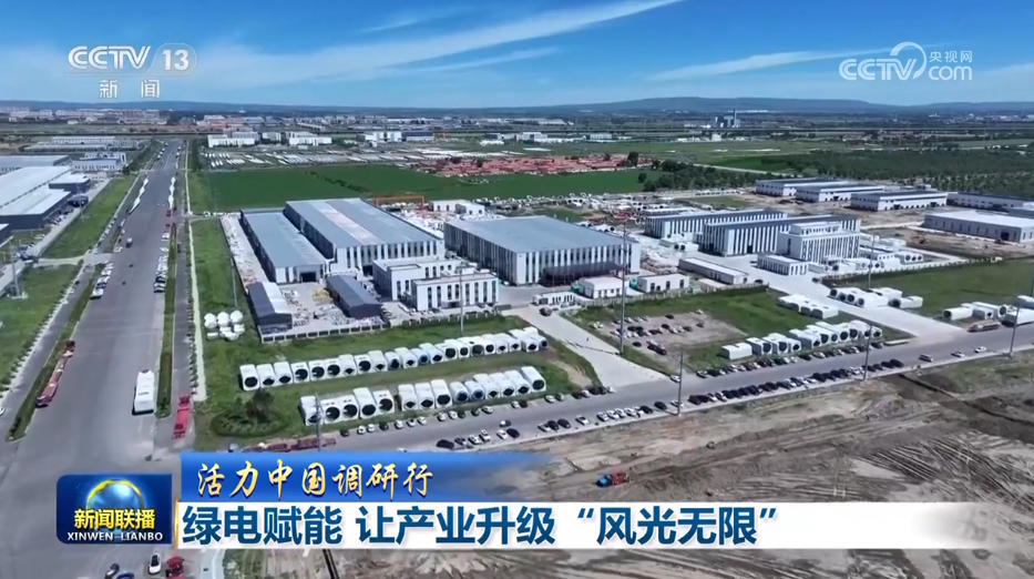 [中国的暴力研究时间表]绿色力量令人兴奋地使工