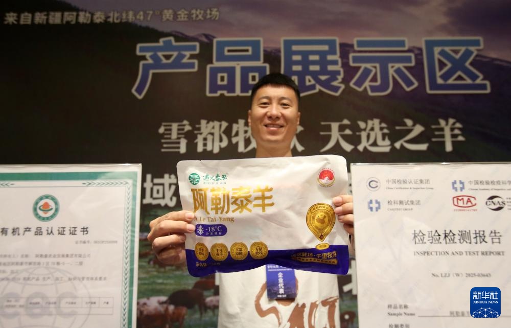 新疆阿尔塔羊绵羊“走”从雪覆盖着雪地，进入一千座房屋