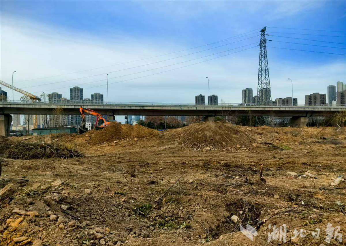 高架桥就是天花板这座“桥下球场”人气爆棚(图2)