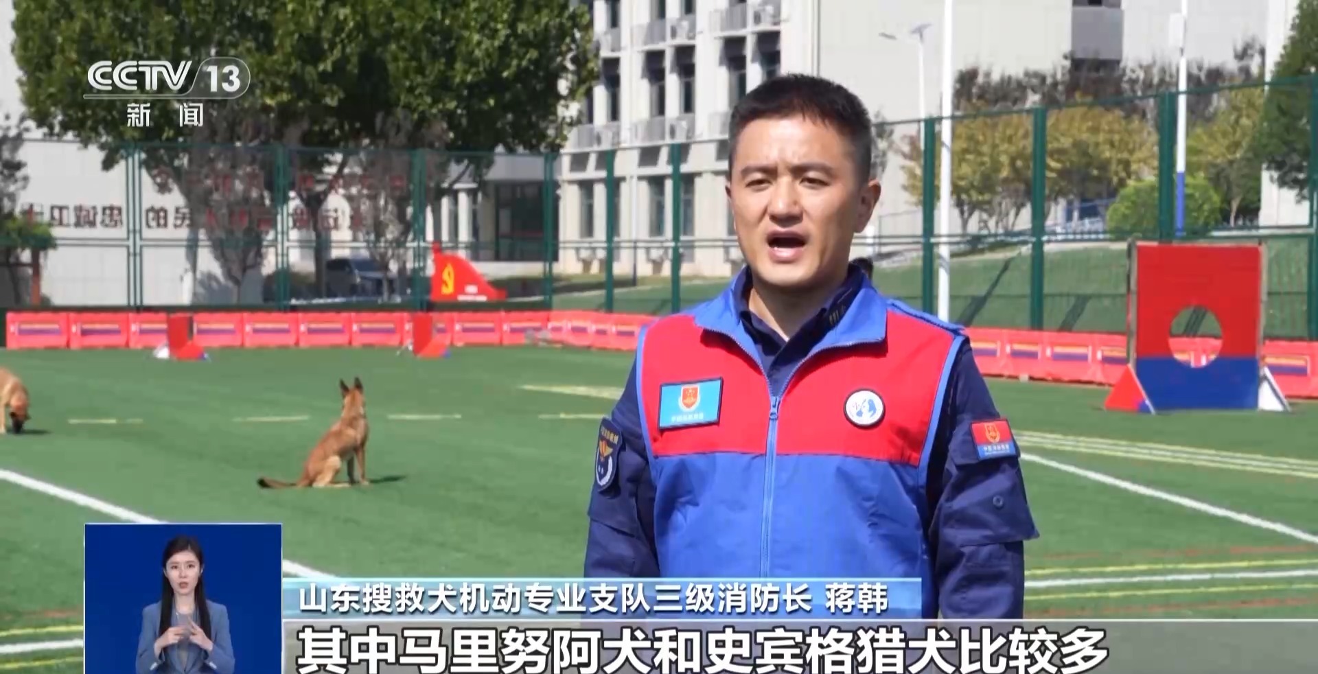 “ Wangwang团队”接受新产品！当第三级测试通过时，有45只救援犬“进入”