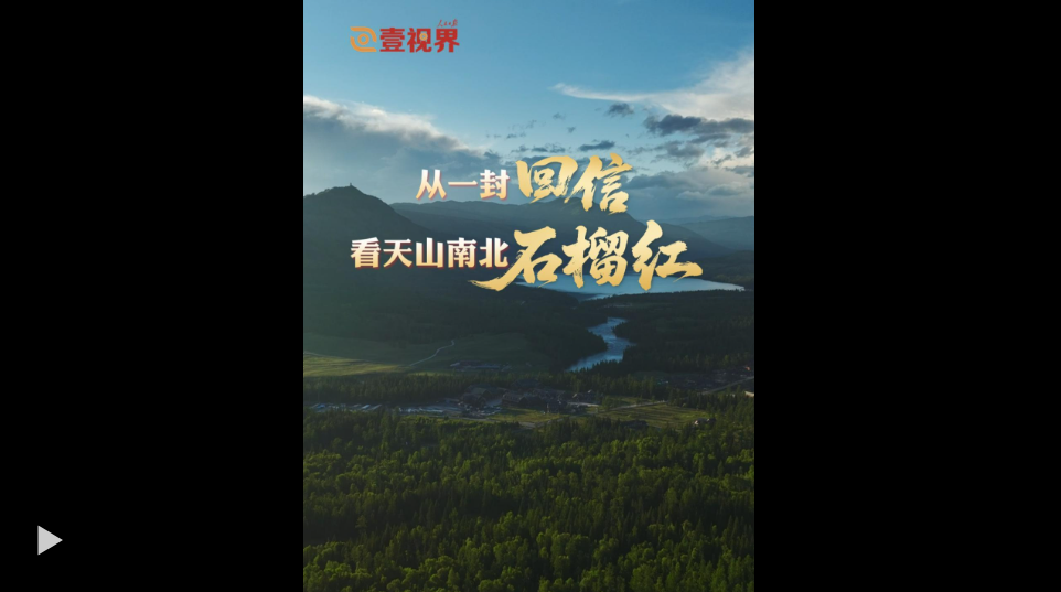 微型纪录片