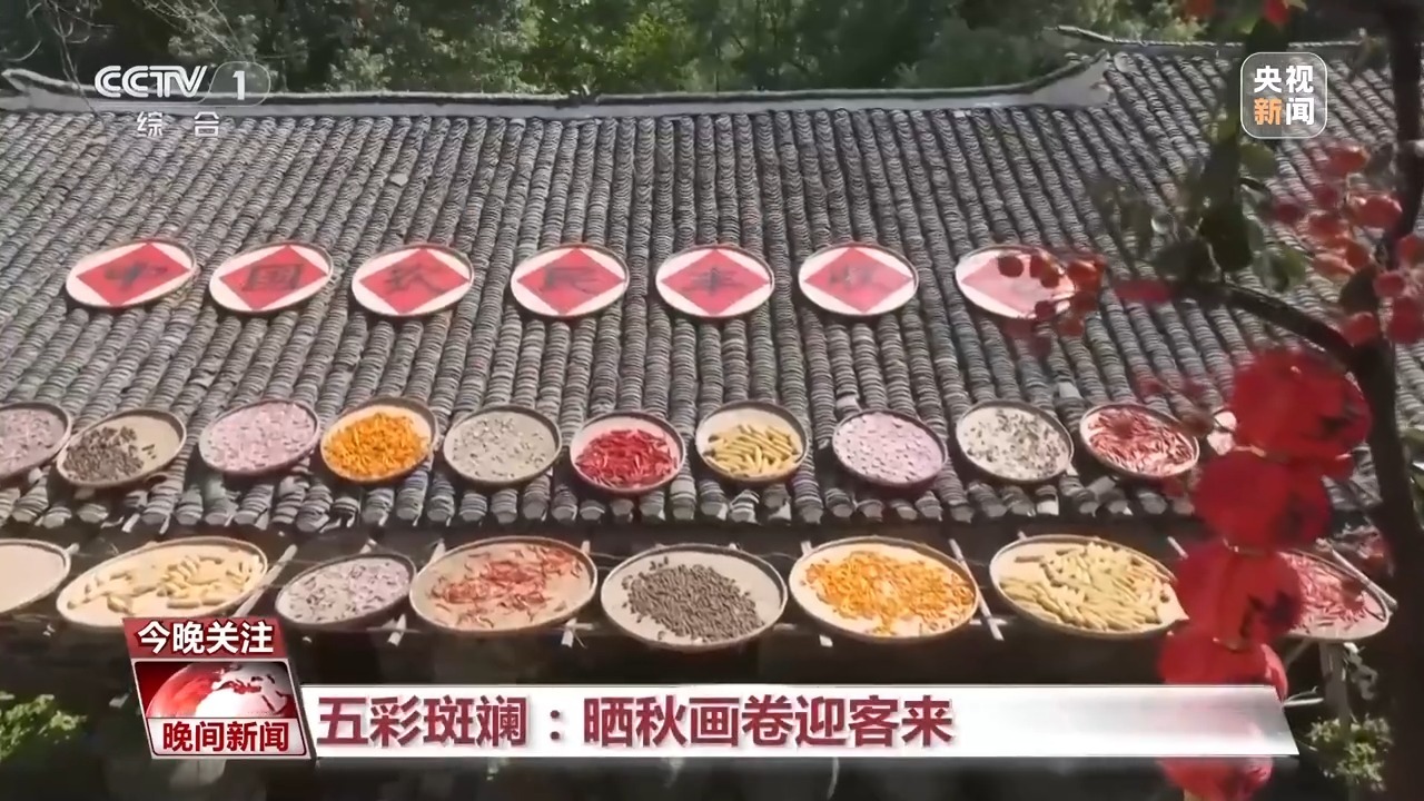 大地调色盘晒秋正当时！这幅五彩“丰”景图藏不住了(图10)