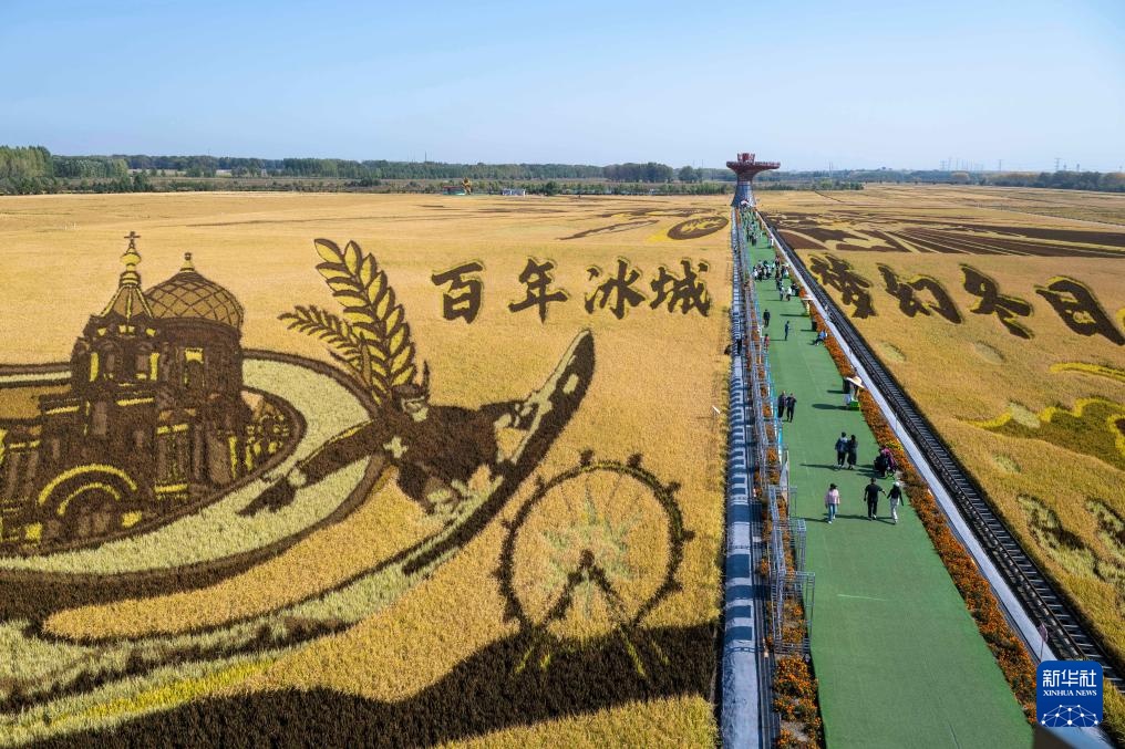 Haylongj County Harves Festival of 2025年农民竖琴节的国内活动