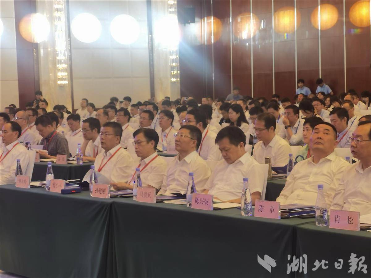 2025年湖北科学技术学术年度会议开放19个活动，