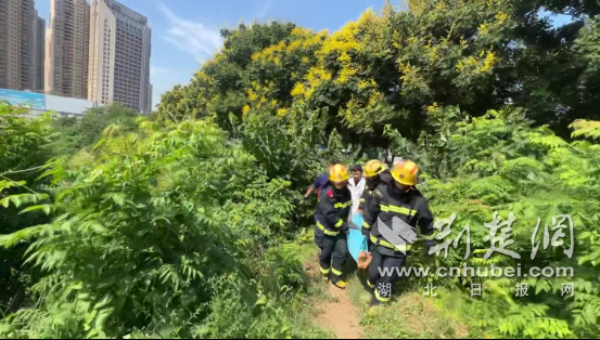 一名70岁的男人在野外发烧政变。消防人员和医生