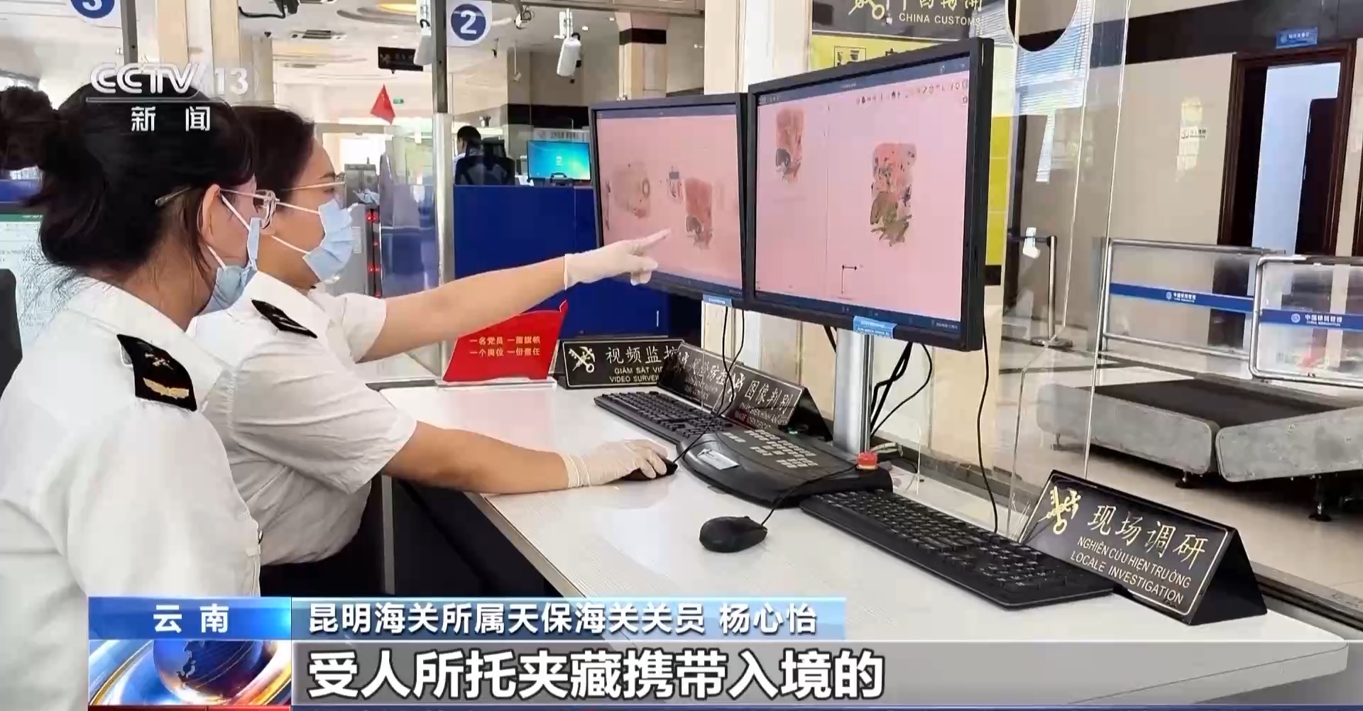 开云网站:严打“异宠”非法入境深圳机场口岸查获200余只昆虫类“异宠”(图7)