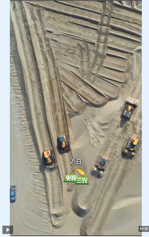 从“干旱土地”到所需的领域，中国风格的荒漠化控制和碳沉积将再次增加